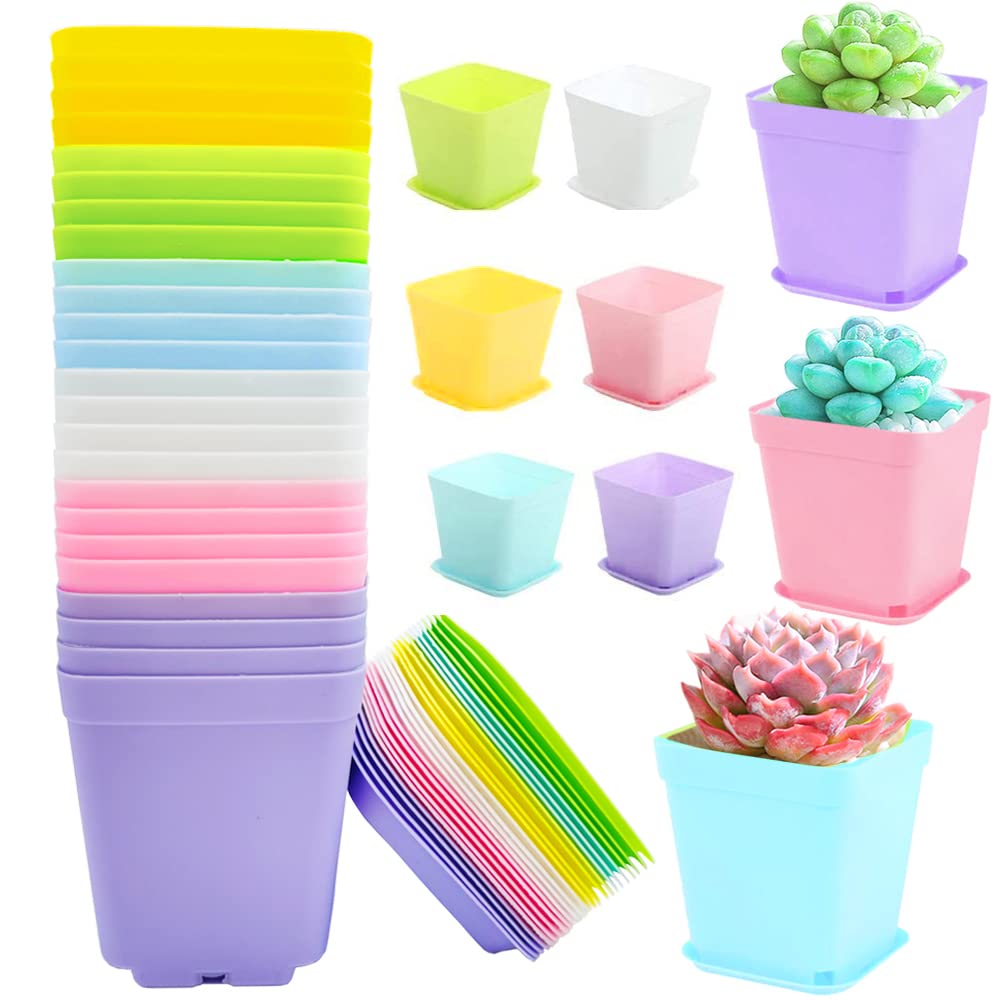 Amazon.com: 24Pack 3 Inch Plastic Plant Pots,Square Seedling